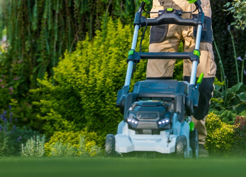 Beautiful Garden Backyard Grass Mowing