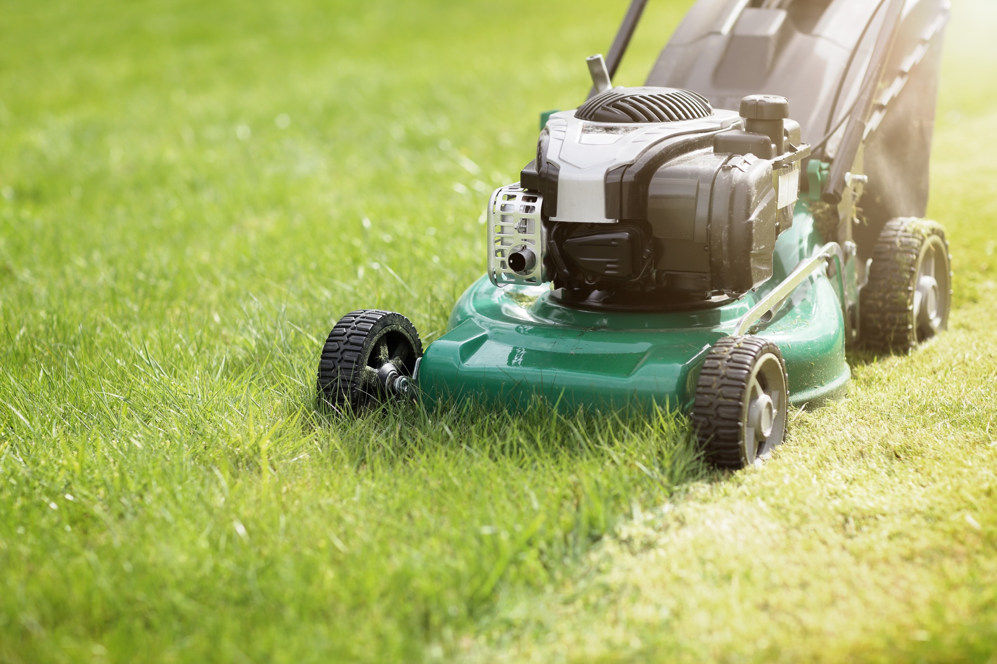 Mowing the grass Mowing the grass